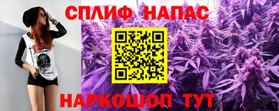 шишки Гатчина