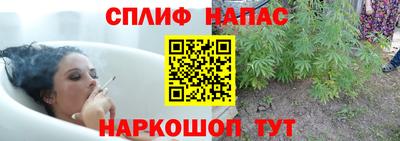 шишки Гатчина