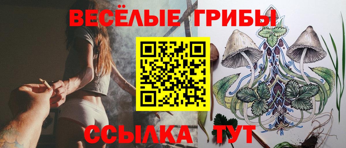 Псилоцибиновые грибы мухоморы Малоярославец